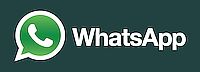Contattaci su WhatsApp